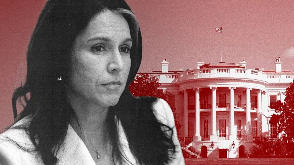 ABD İstihbarat Şefi Tulsi Gabbard ve Dr. Anthony Fauci laboratuvar belgeleri